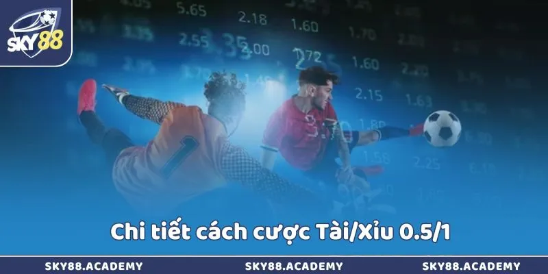 Chi tiết cách cược Tài/Xỉu 0.5/1