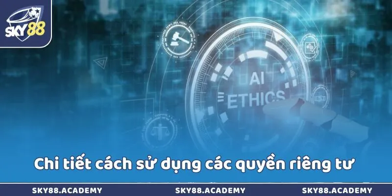 Quyền Riêng Tư Sky88 – Bảo Vệ Dữ Liệu Người Dùng Chi tiết cách sử dụng các quyền riêng tư