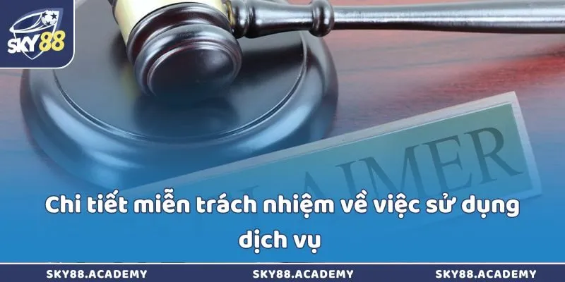 Chi tiết miễn trách nhiệm về việc sử dụng dịch vụ 