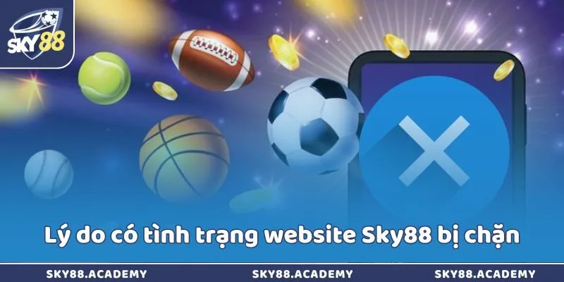 Website Sky88 bị chặn thì phải làm sao để gỡ bỏ nhanh? Lý do có tình trạng website Sky88 bị chặn