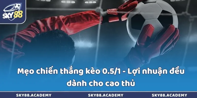Mẹo chiến thắng kèo 0.5/1 - Lợi nhuận đều dành cho cao thủ Mẹo chiến thắng kèo 0.5/1 - Lợi nhuận đều dành cho cao thủ