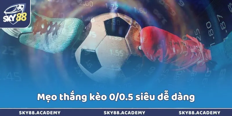 Mẹo thắng kèo 0/0.5 siêu dễ dàng